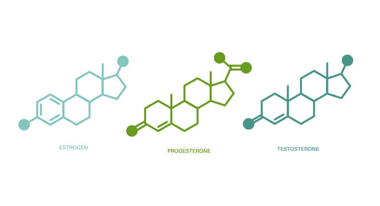 Key hormones