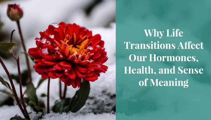 Why Life Transitions Affect Our Hormones, Health, and Sense of Meaning
